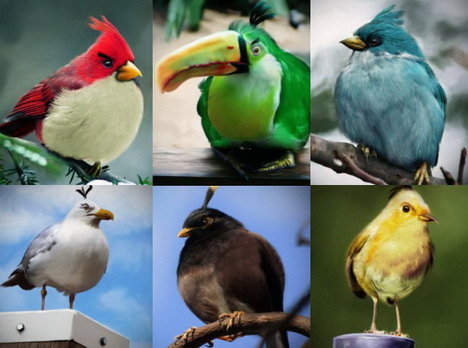 Desktop Wallpapers on Best 70 Angry Birds Desktop Wallpapers And Photo Gallery  Ultimate