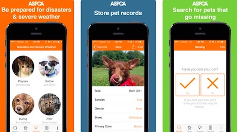 Image result for Pet Safety App for Lost Pets, Disaster Prep and Emergency Alerts apple store