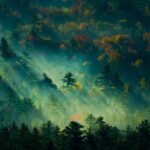 30 Best Websites to Download Free High Resolution Wallpapers