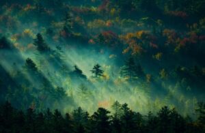 best-websites-to-download-free-wallpapers