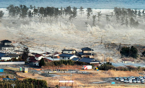 waves_of_tsunami_topple_trees