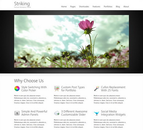striking _premium_corporate_and_portfolio_wp_theme striking _premium_corporate_and_portfolio_wp_theme