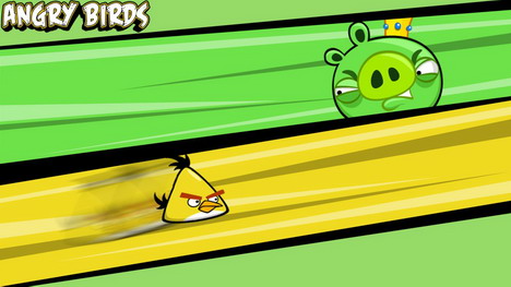 angry_birds_wallpapers_and_photos_018