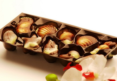 shell_shape_chocolates