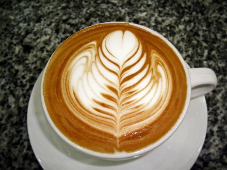 rosetta_50_beautiful_and_delicious_latte_art