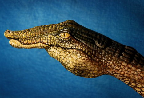 crocodile_best_animal_hand_painting