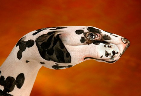 dog_dalmatian_best_animal_hand_painting
