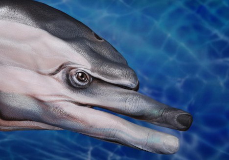 dolphin_best_animal_hand_painting