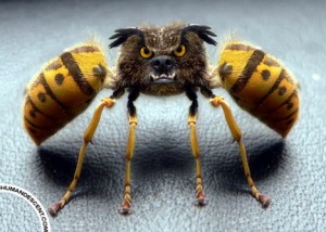 one_bark_two_stings_funny_creative_photo_manipulation_artworks