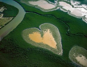 heart_in_voh_new_caledonia_beautiful_nature_landscapes_photographs