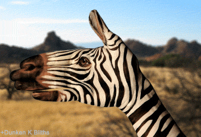 hand_zebra_stunning_animated_images_and_cinemagraphs
