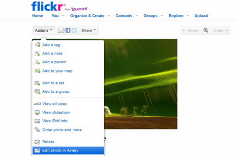 how_to_add_watermarks_for_flickr_photos_01