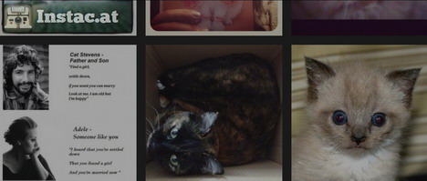 instacat_best_web_apps_instagram