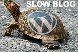 causes_make_wordpress_blog_slow_load_time