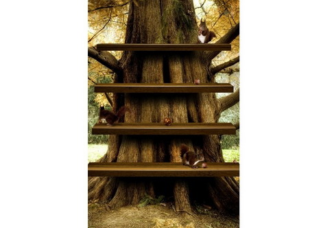 tree_shelves_iphone_background