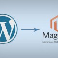 magento_wordpress_integration