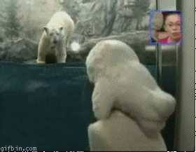 polar_bear_attack_funny_animated_image