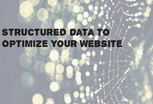 website-structured-data