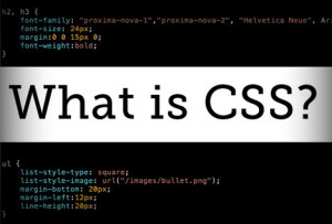 css-basics