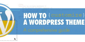 wordpress-theme-customization