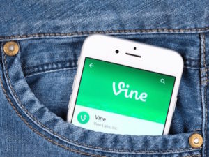 best-vine-tips-tricks