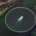 google-earth-most-amazing-weird-things