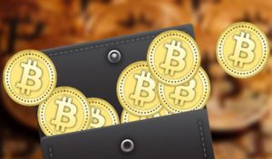 best-bitcoin-wallets-low-transaction-fee