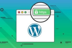 add-ssl-https-to-wordpress-site