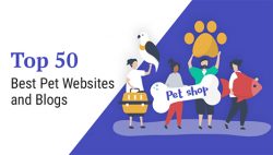 best-pet-websites-and-blogs